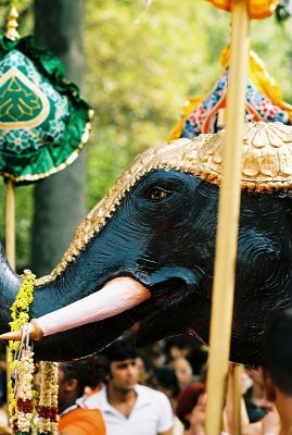 Ganesh (6)
Nikon F3 + 105mm + Porta 160 VC
