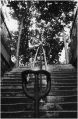Escaliers_640.jpg