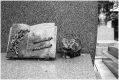 La_tante_et_le_chat_640.jpg