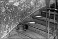 img433c.jpg