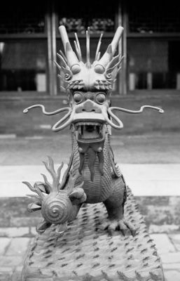 Citée interdite - Beijing
Voigtländer Bessa R3A
Nokton f 40 mm 1:1.4
TriX
