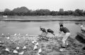 chine_guilin_16.jpg