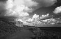 nov2010_cancale_rollei400s_.jpg