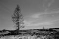 r3a_cs21_tx400_jan08_27.jpg