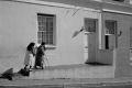 south_africa_raw_2002.jpg