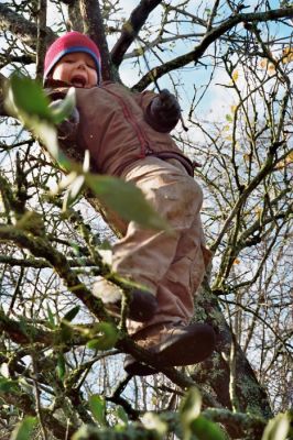 Siam dans les arbres
Leica CL + Summicron-C 40mm + Ektar 100
