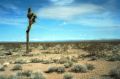 2008_02_Calif05_024Ab.jpg
