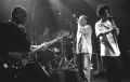 2009_05_Tzr_018Ac.jpg