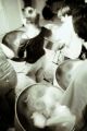 Steelband_1_033Abd.jpg