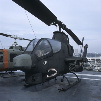 Image7special.jpg