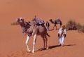 Maroc_film34_09.jpg