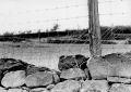 BARRICADES~0.jpg