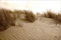 DUNES_VENDEE_.jpg