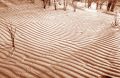 VAGUES_SABLE_SEPIA.jpg