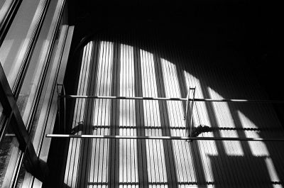 La naiveté selon Saint-Pierre 1
Halle Saint-Pierre/Musée d'Art Naïf - Paris

Leica M6 - Cron IV - TriX et Rodinal
