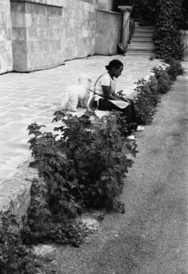 Sri-Lanka
Beyrouth - Aout 2008 - Liban

Pentax MX - 28/2.8 - Trix 400 + Rodinal
Mots-clés: Liban - Beyrouth - humain - street - rue