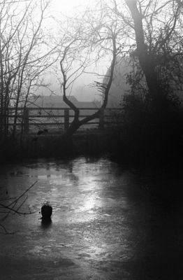 Robehomme
M6 - Elmar 90/4 - Trix - Rodinal
