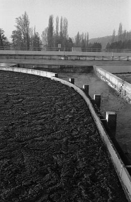 Boissette4
Une station d'épuration un matin de Décembre.

Minox 35GL-Trix à 800
