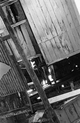 Le plancher des vaches
Anciens bains thermaux de Guitera (Corse).

Pentax LX - SMc-M 50 -TriX 400
Mots-clés: Friche - Corse