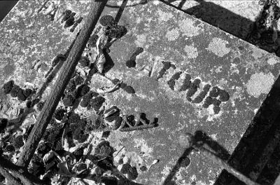 La Tour
Pére Lachaise

Minolta CL - Rokkor 40 CLE - Foma 400 - ID-11 1+1
Mots-clés: Cimetière