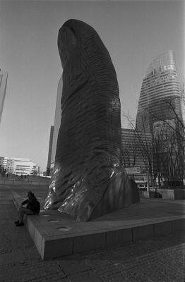 DD4
Défense en Décembre 2008.

Pentax MX - Flekotgon 20 - Tricx à 200 dans de l'ID11
