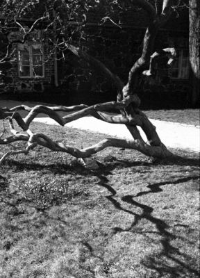 Tortue
Helsinki

M6 - Cron 35 IV - Trix 400
