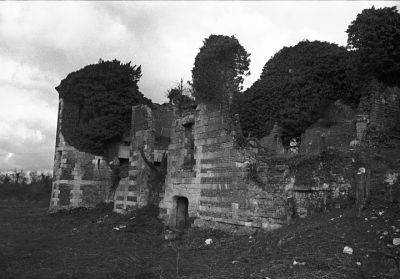 King of 1
Leica M6 - Summcrion 35 IV - Trix à 400
