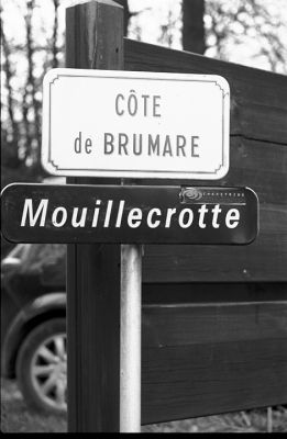 Brûme
Leica M6 - Elmar vissant 90/4 - Trix à 400
