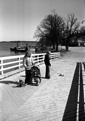 Pov bêtes
Helsinki

M6 - Cron 35 IV - Trix 400
