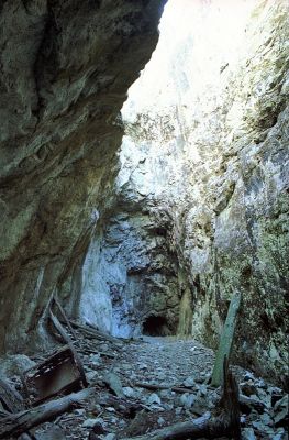 Finosa 1
Une mine de plomb argentifère et de zinc, en Corse, qui a fermé en 1958.

Pentax MX - Flektogon 20/2.8 - Superia 200
Mots-clés: Mine - Corse