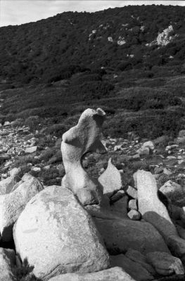 Dauphin 1
Prés du rocher "le grain de café" à Capo di Muro.

Pentax LX - smc-m 50/1.7 - Foma 100
Mots-clés: Corse - Roche