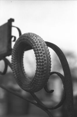 Couronne
Un jour de pluie au cimetière Montparnasse.

Pentax LX - SMC-M 50/1.7 - Foma 400
Mots-clés: Paris - Cimetière - Montparnasse