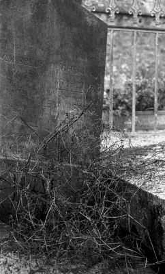 Végétalisation
Cimetière de Sainte Marie du Mont

Pentax LX - 50/1.7 à 5.6 - Foma 400
Mots-clés: Cimetière