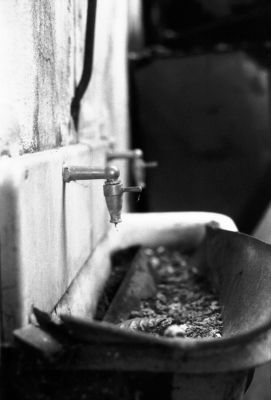 Lavabo
Pentax LX - smc m 50/1.7 - Foma 400
Mots-clés: Friches industrielles