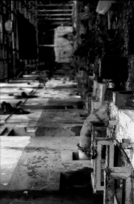 Pas assez de PDC
Pentax LX - smc m 50/1.7 - Foma 400
Mots-clés: Friches industrielles