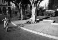image001cycles.jpg