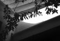 image001toiles.jpg