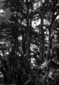 image001xcdr.jpg