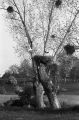 image001~6.jpg