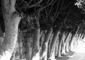 image002arb.jpg