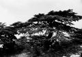 image002xcdr.jpg
