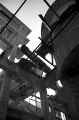 image003Canari1.jpg