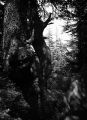 image003xcdr.jpg