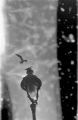 image003~0.jpg
