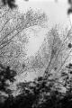 image003~7.jpg