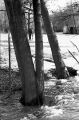 image004EE.jpg