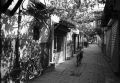 image004cycles~0.jpg