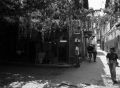 image006cycles.jpg