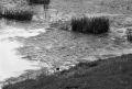 image006~8.jpg