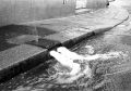 image008mm.jpg